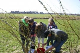 NATUERWIKEN