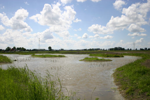 Natuurgebied Waar Eldorado
