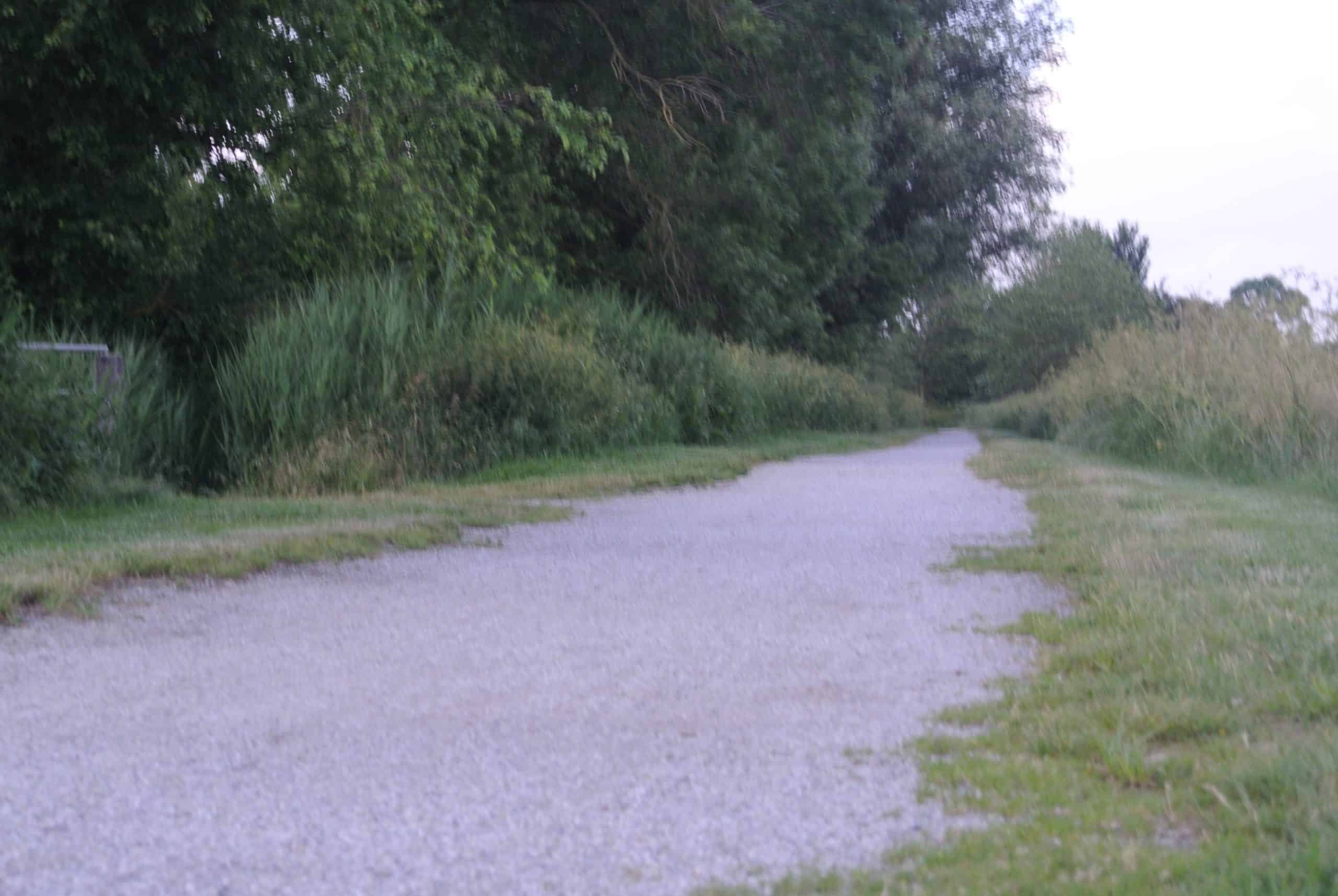 schelpenpad Scharnegoutum 2
