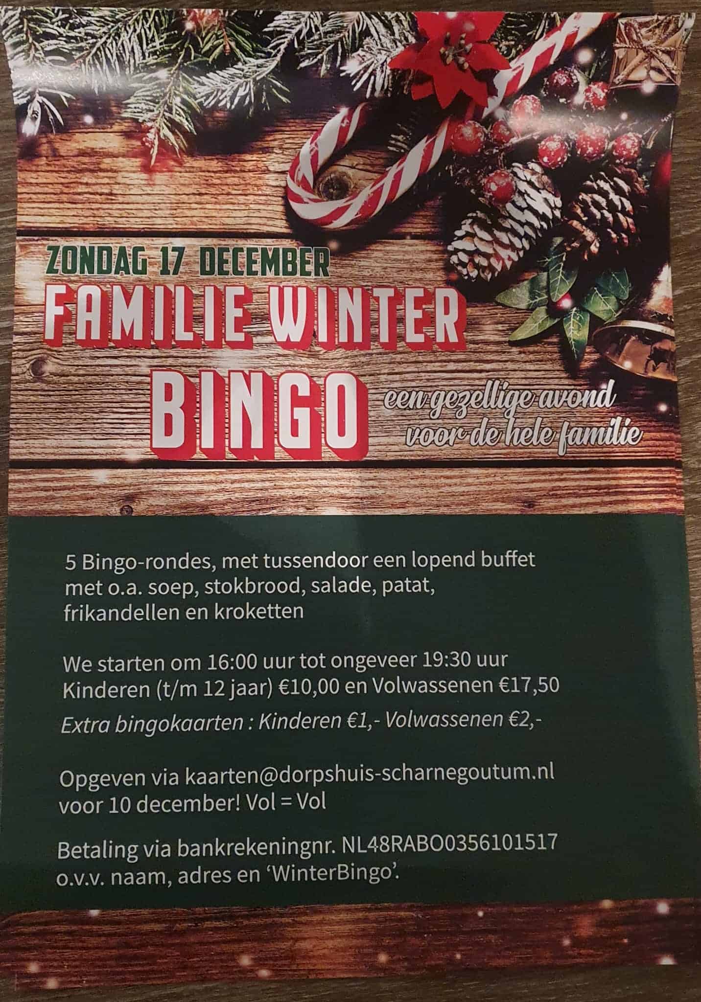familie winterbingo poster